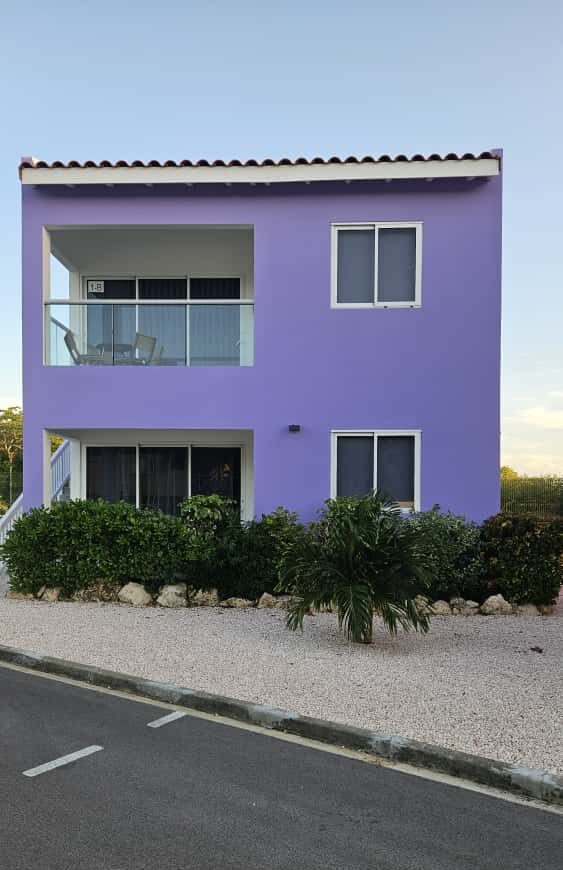 WhatsApp Image 2025-10-18 at 13.24.26 (2)